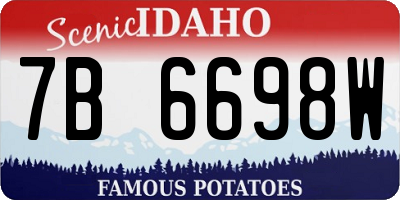 ID license plate 7B6698W