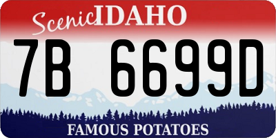 ID license plate 7B6699D