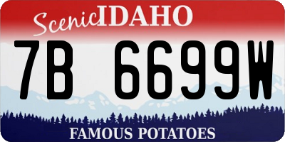 ID license plate 7B6699W