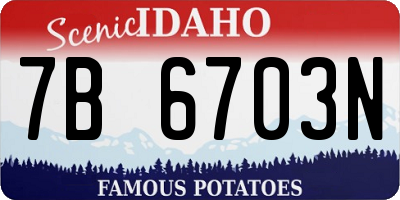 ID license plate 7B6703N