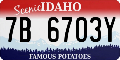 ID license plate 7B6703Y