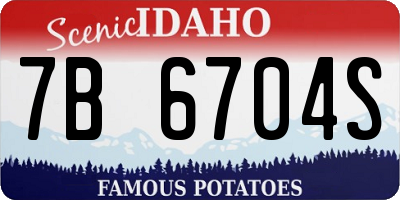 ID license plate 7B6704S