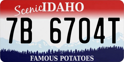 ID license plate 7B6704T