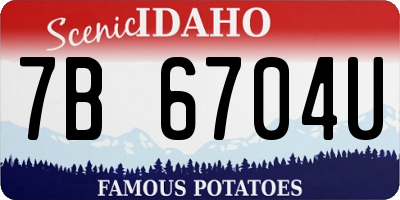 ID license plate 7B6704U