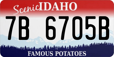 ID license plate 7B6705B