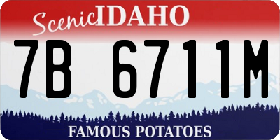 ID license plate 7B6711M