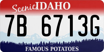 ID license plate 7B6713G