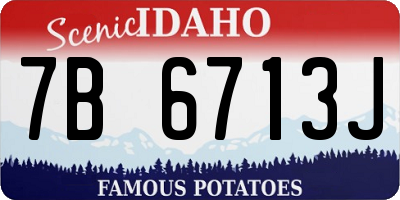 ID license plate 7B6713J