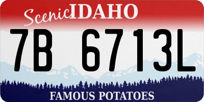 ID license plate 7B6713L