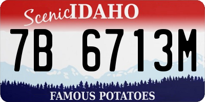 ID license plate 7B6713M