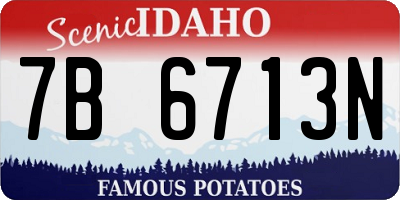 ID license plate 7B6713N