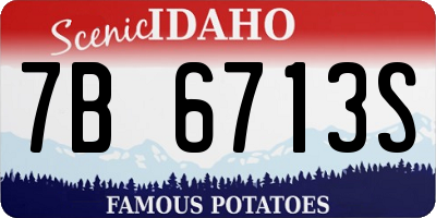 ID license plate 7B6713S