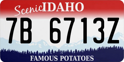 ID license plate 7B6713Z