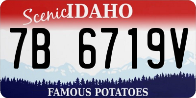 ID license plate 7B6719V