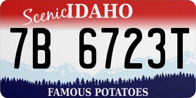 ID license plate 7B6723T