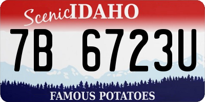 ID license plate 7B6723U
