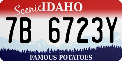 ID license plate 7B6723Y