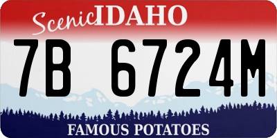 ID license plate 7B6724M