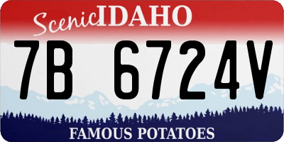 ID license plate 7B6724V
