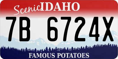 ID license plate 7B6724X