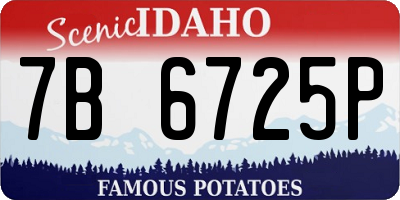 ID license plate 7B6725P