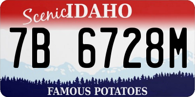 ID license plate 7B6728M