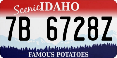 ID license plate 7B6728Z