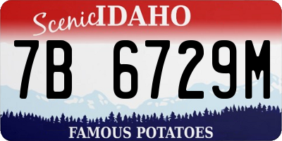 ID license plate 7B6729M