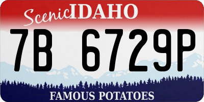ID license plate 7B6729P