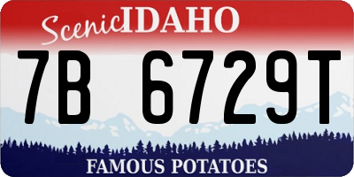 ID license plate 7B6729T