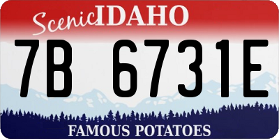 ID license plate 7B6731E