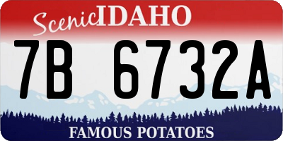 ID license plate 7B6732A