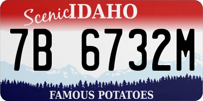 ID license plate 7B6732M