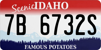ID license plate 7B6732S