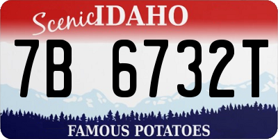 ID license plate 7B6732T