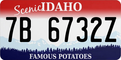 ID license plate 7B6732Z