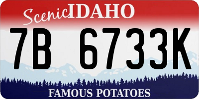 ID license plate 7B6733K