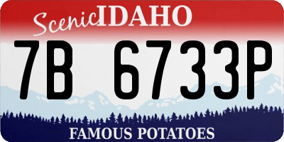 ID license plate 7B6733P