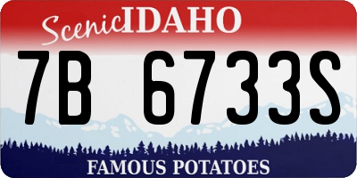 ID license plate 7B6733S