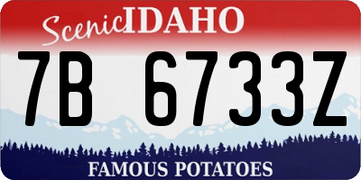 ID license plate 7B6733Z