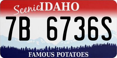 ID license plate 7B6736S