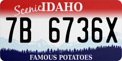 ID license plate 7B6736X