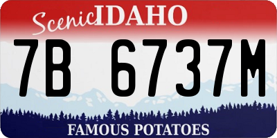 ID license plate 7B6737M