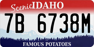 ID license plate 7B6738M