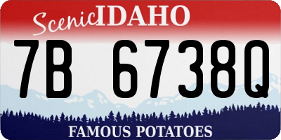 ID license plate 7B6738Q