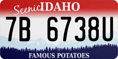 ID license plate 7B6738U