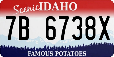 ID license plate 7B6738X