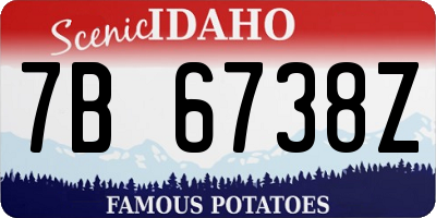 ID license plate 7B6738Z
