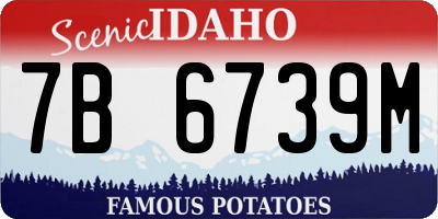 ID license plate 7B6739M