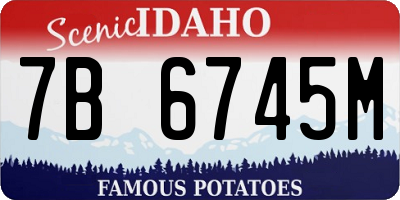 ID license plate 7B6745M